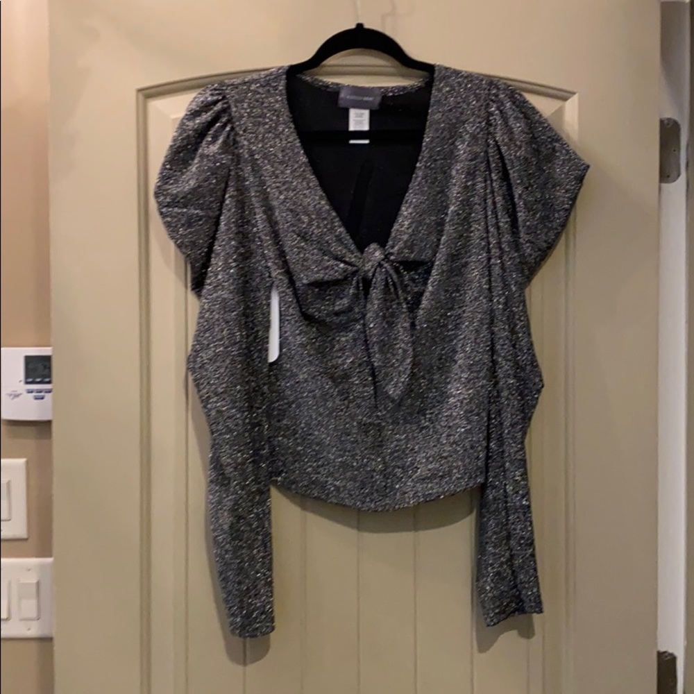 Silver Shimmer Puffed Sleeve Top